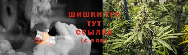 прущий лед Арсеньев