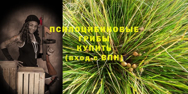 прущий лед Арсеньев