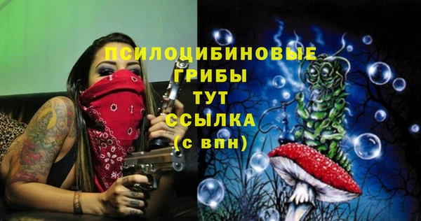 СК Армянск