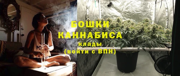 стафф Аркадак