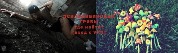 стафф Аркадак